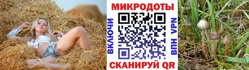 это официальный сайт  Высоковск  Псилоцибиновые грибы Magic Shrooms  цены наркотик 